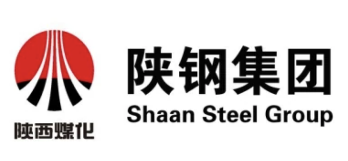 Shaanxi Steel logo